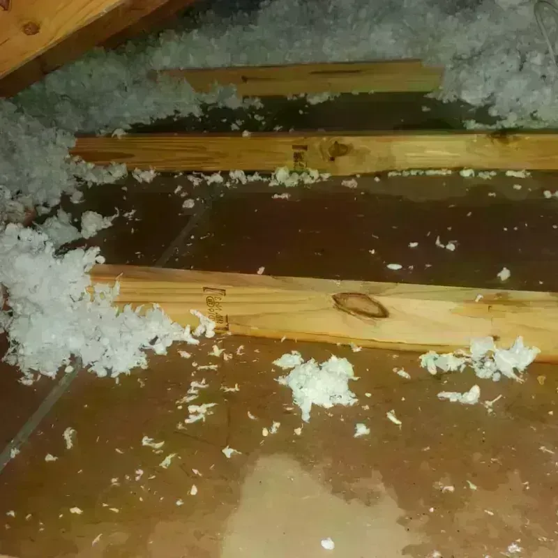 Attic Water Damage in Revere, MA