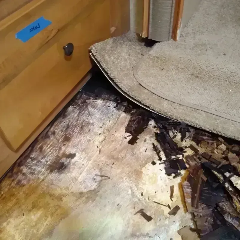 Best Wood Floor Water Damage Service in Revere, MA